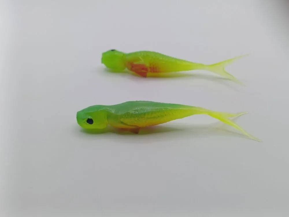 Qubi Lures Syrena Radioactive