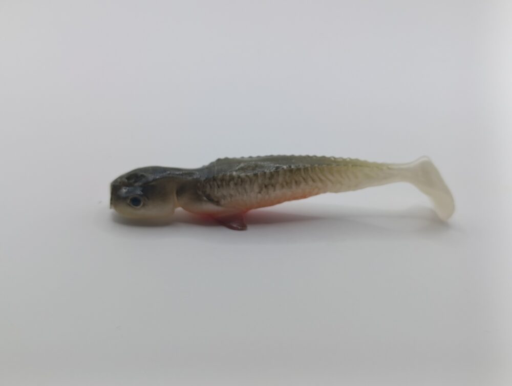 Qubi Lures Syrena Shad Stynka