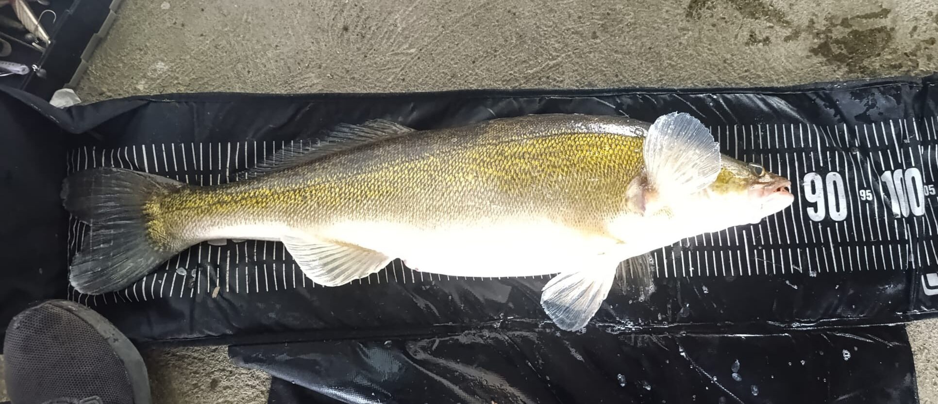 sandacz przy betonie