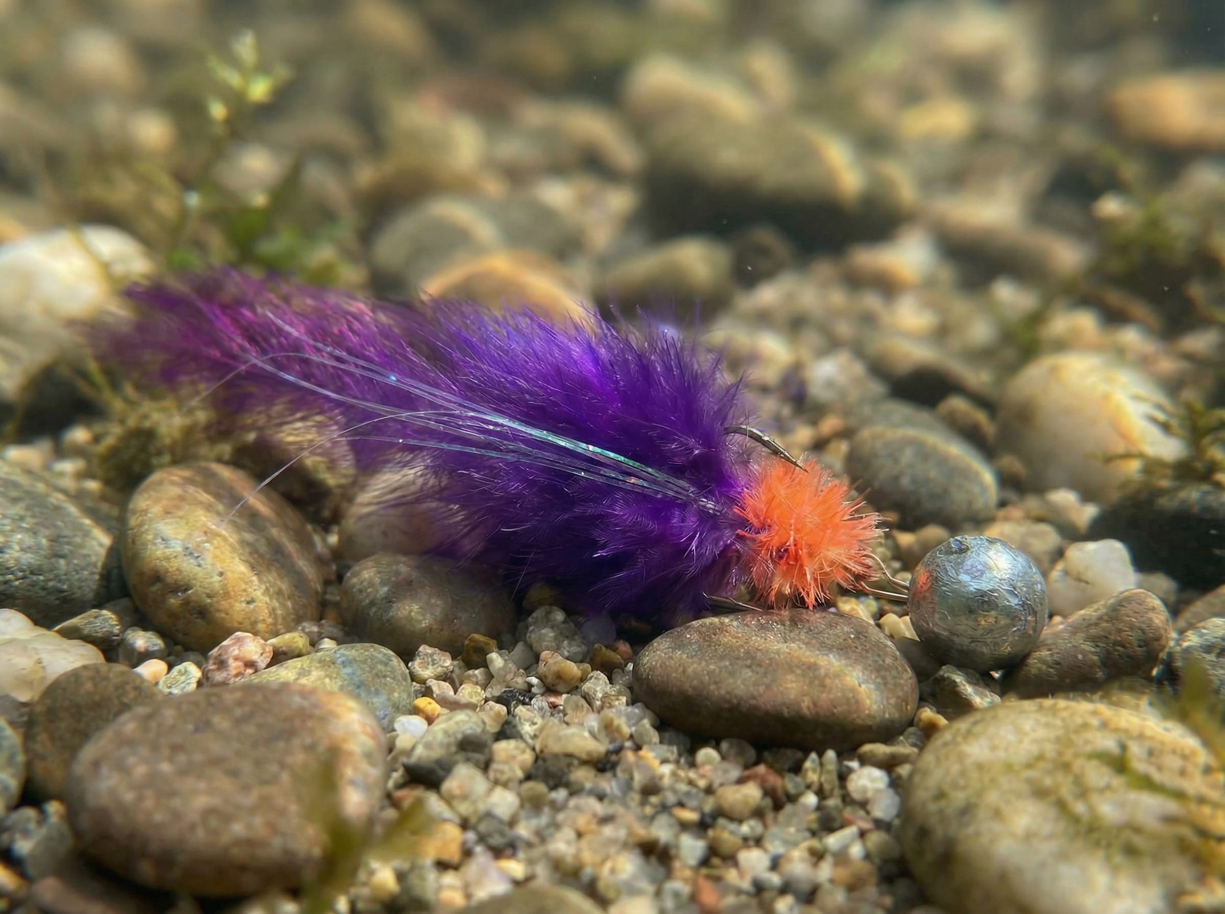 Kogut Manyfik System z możliwością zmiany obciążenia